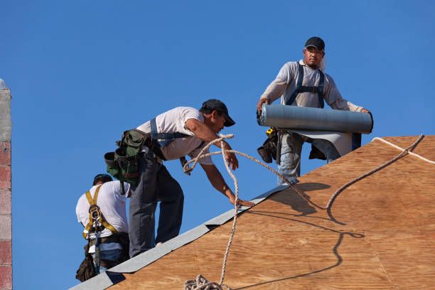 Best Roof Gutter Cleaning  in Polkton, NC